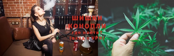 apvp Алзамай
